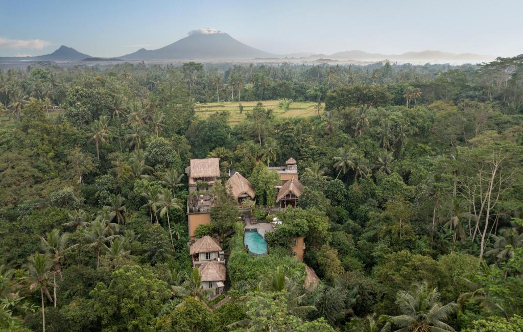Khám Phá 8 Nơi Ở Trong Mơ Tại Ubud, Bali (^.^)
